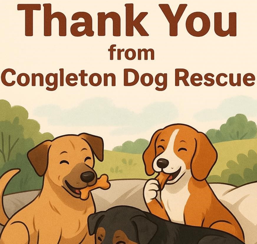 Community donations for Digby and other dogs